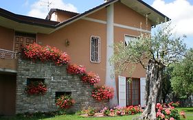 Nel Giardino Degli Ulivi