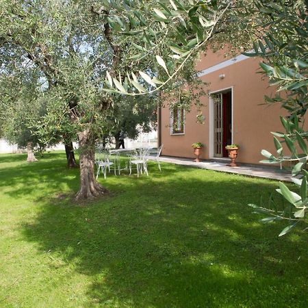 Nel Giardino Degli Ulivi Apartment Castelnuovo Magra Exterior photo