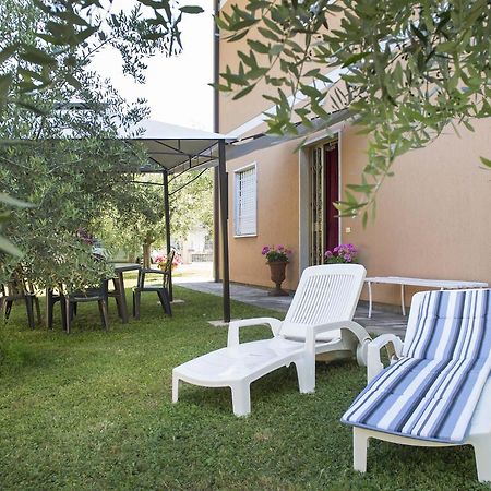 Nel Giardino Degli Ulivi Apartment Castelnuovo Magra Exterior photo