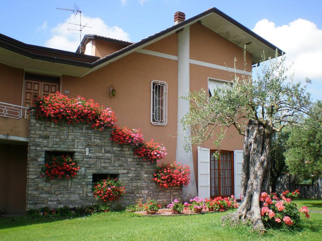 Nel Giardino Degli Ulivi Apartment Castelnuovo Magra Room photo